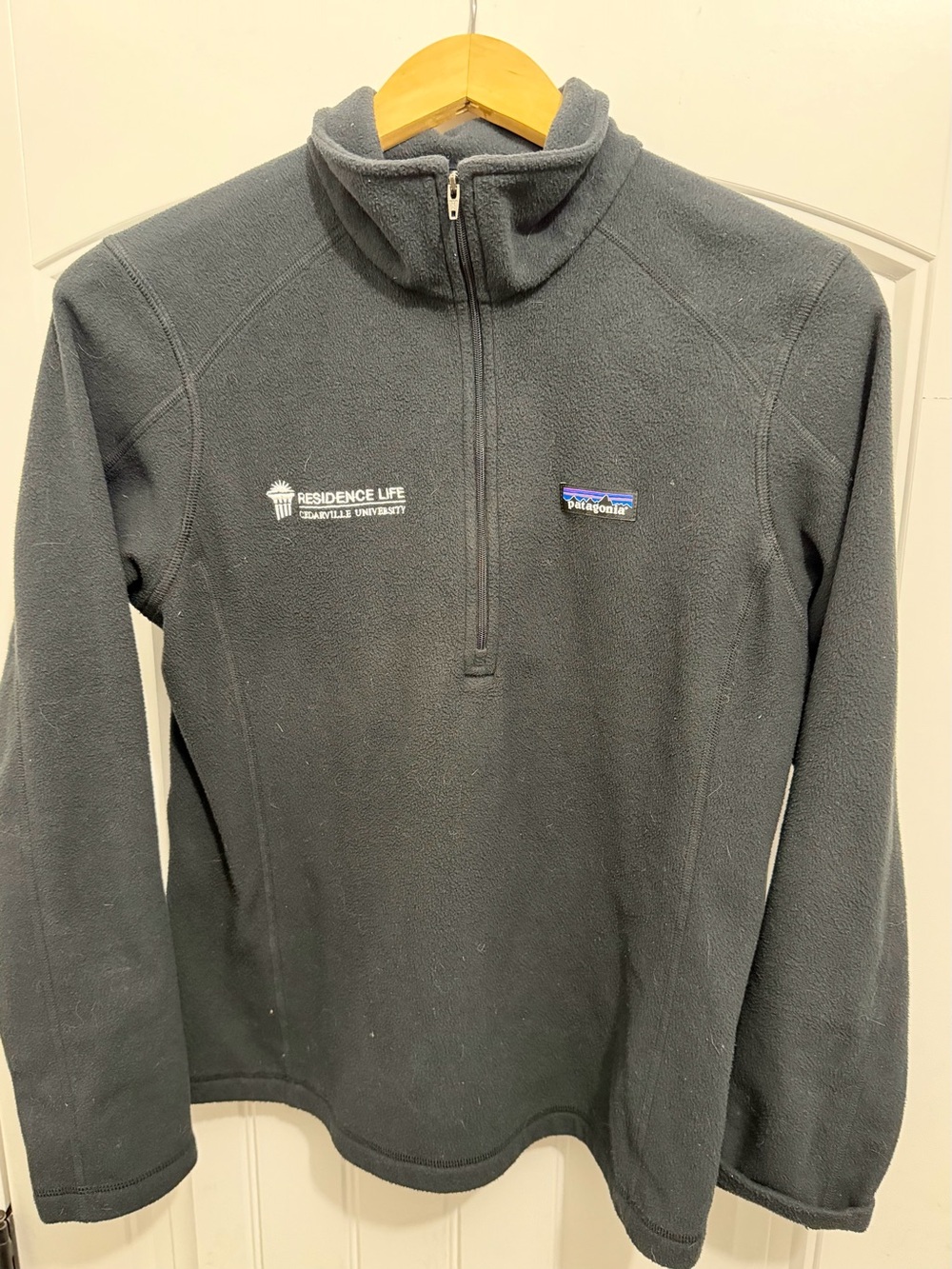 Patagonia Women's Micro D® 1/4-Zip Fleece Pullover, Black, Medium, LOGO, 26278